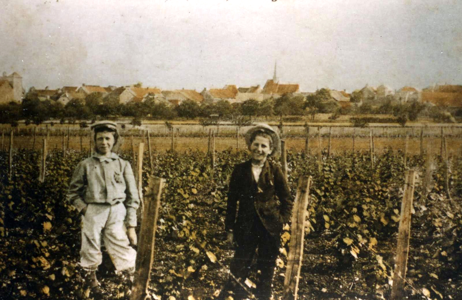 Bellefond dans les vignes
