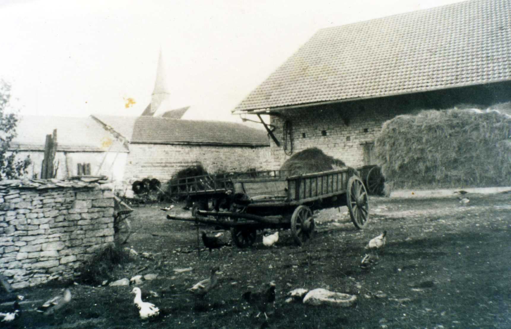 Bellefond la cour de la ferme dans les annees 50
